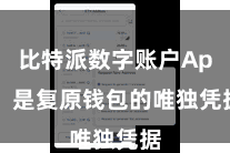 比特派数字账户App 是复原钱包的唯独凭据