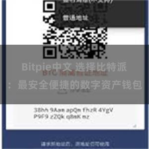 Bitpie中文 选择比特派：最安全便捷的数字资产钱包