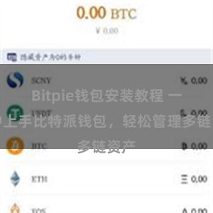 Bitpie钱包安装教程 一分钟上手比特派钱包，轻松管理多链资产