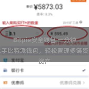 Bitpie安全钱包 一分钟上手比特派钱包，轻松管理多链资产