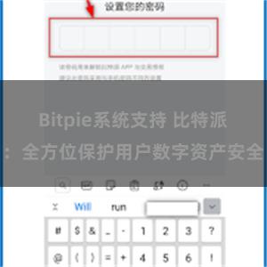 Bitpie系统支持 比特派：全方位保护用户数字资产安全