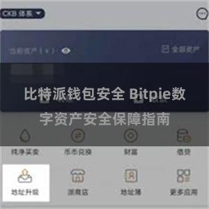 比特派钱包安全 Bitpie数字资产安全保障指南