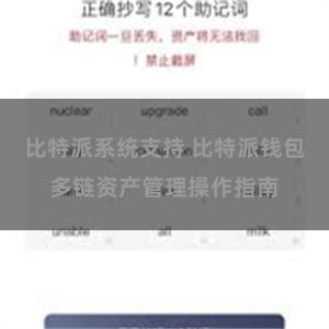 比特派系统支持 比特派钱包多链资产管理操作指南