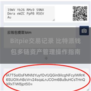 Bitpie交易记录 比特派钱包多链资产管理操作指南