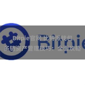 Bitpie官网 比特派钱包多链资产管理技巧：全面攻略