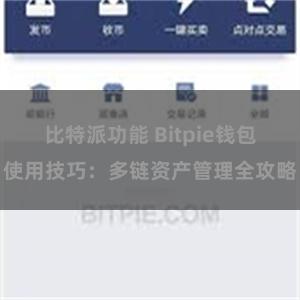 比特派功能 Bitpie钱包使用技巧：多链资产管理全攻略