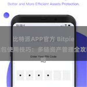 比特派APP官方 Bitpie钱包使用技巧：多链资产管理全攻略