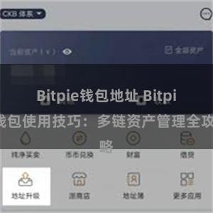 Bitpie钱包地址 Bitpie钱包使用技巧：多链资产管理全攻略