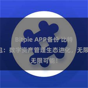 Bitpie APP备份 比特派钱包:数字资产管理生态进化,无限可能!