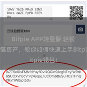 Bitpie APP轻量版 轻松管理多链资产,教你如何快速上手Bitpie钱包!