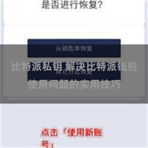 比特派私钥 解决比特派钱包使用问题的实用技巧