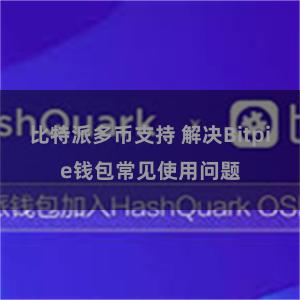 比特派多币支持 解决Bitpie钱包常见使用问题