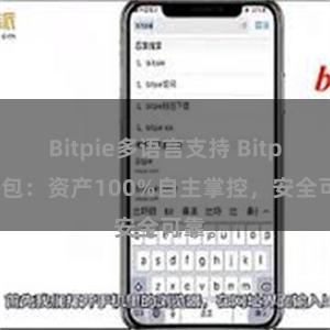 Bitpie多语言支持 Bitpie钱包:资产100%自主掌控,安全可靠。