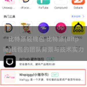比特派轻钱包 比特派(Bitpie)钱包的团队背景与技术实力