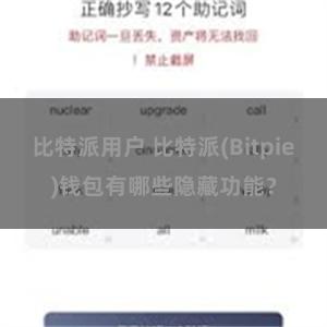 比特派用户 比特派(Bitpie)钱包有哪些隐藏功能?